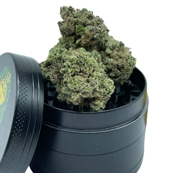 APPLE RUNTZ - INDICA (AAA) - Image 3