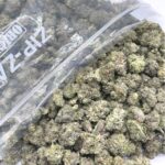 MASTER KUSH ULTRA