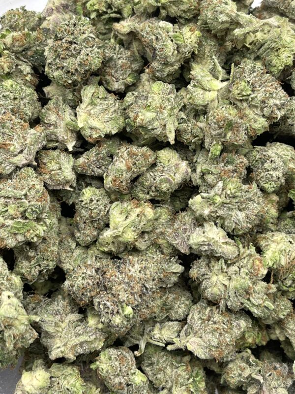 ALIEN BUBBA