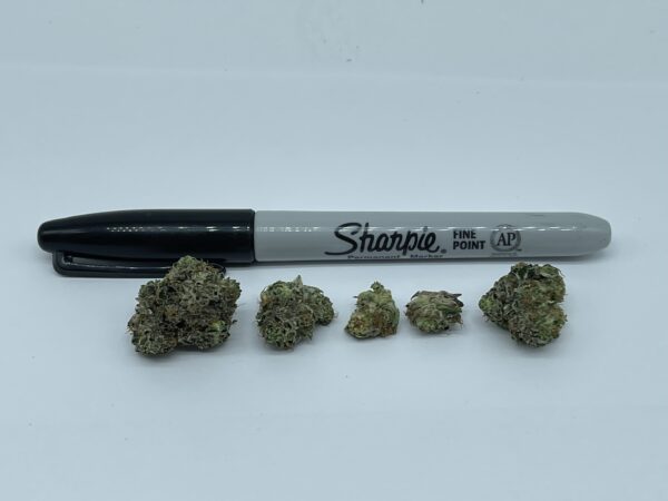 ALIEN BUBBA - Image 2
