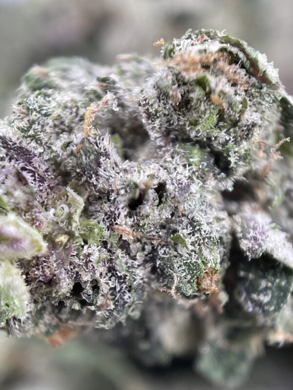 PINK DEATHSTAR - Image 3