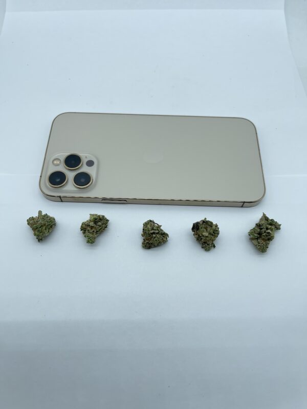 MAC 1 - Image 3