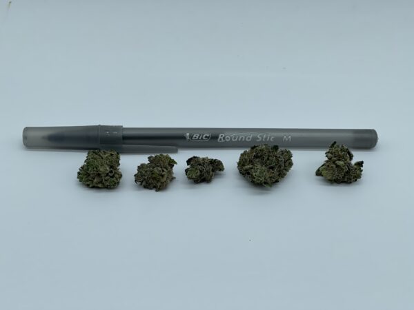 PURPLE CANDY - Image 2