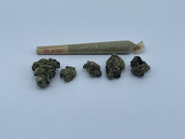 MASTER BUBBA - Image 3