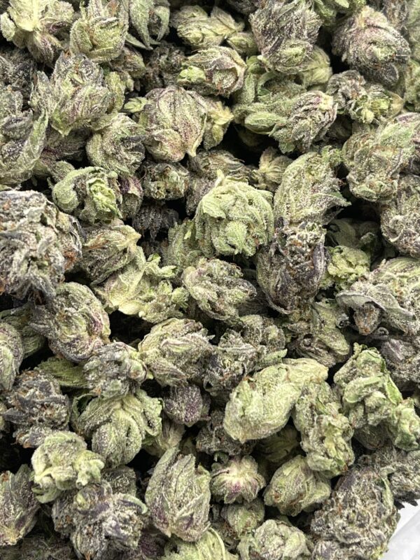 MASTER BUBBA