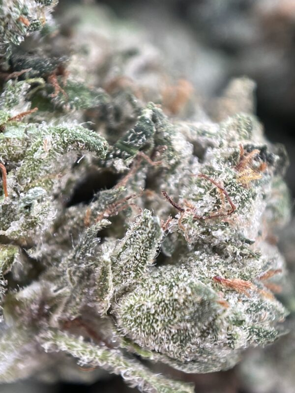 PINK KUSH - Image 2