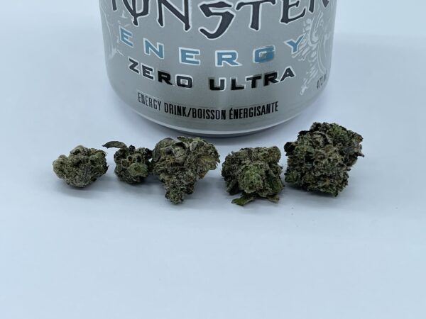YODA OG - Image 2