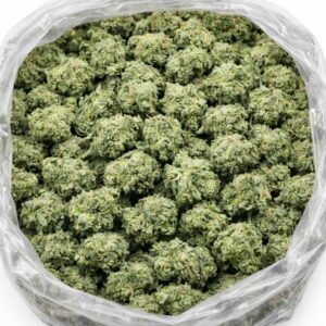 Rockstar cannabis flower buds in an open bag, showing small dense nugs with light green tones and frosty trichome coverage