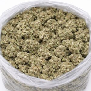 White Truffle cannabis flower buds in an open bag, showing small dense nugs with light green tones and frosty trichome coverage