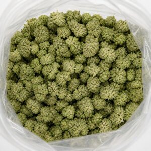 death bubba cannabis flower buds in an open bag, showing small dense nugs with light green tones and frosty trichome coverage