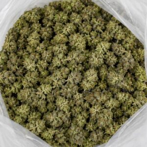 cannabis flower buds in an open bag, showing small dense nugs with light green tones and frosty trichome coverage